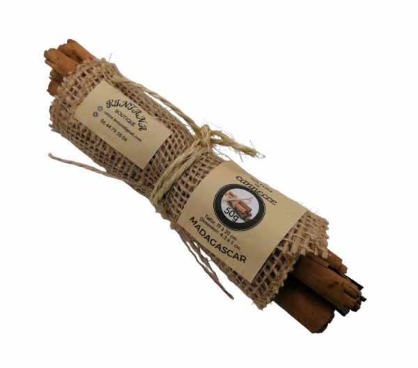 BATON CANNELLE